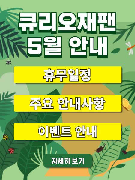 팝업